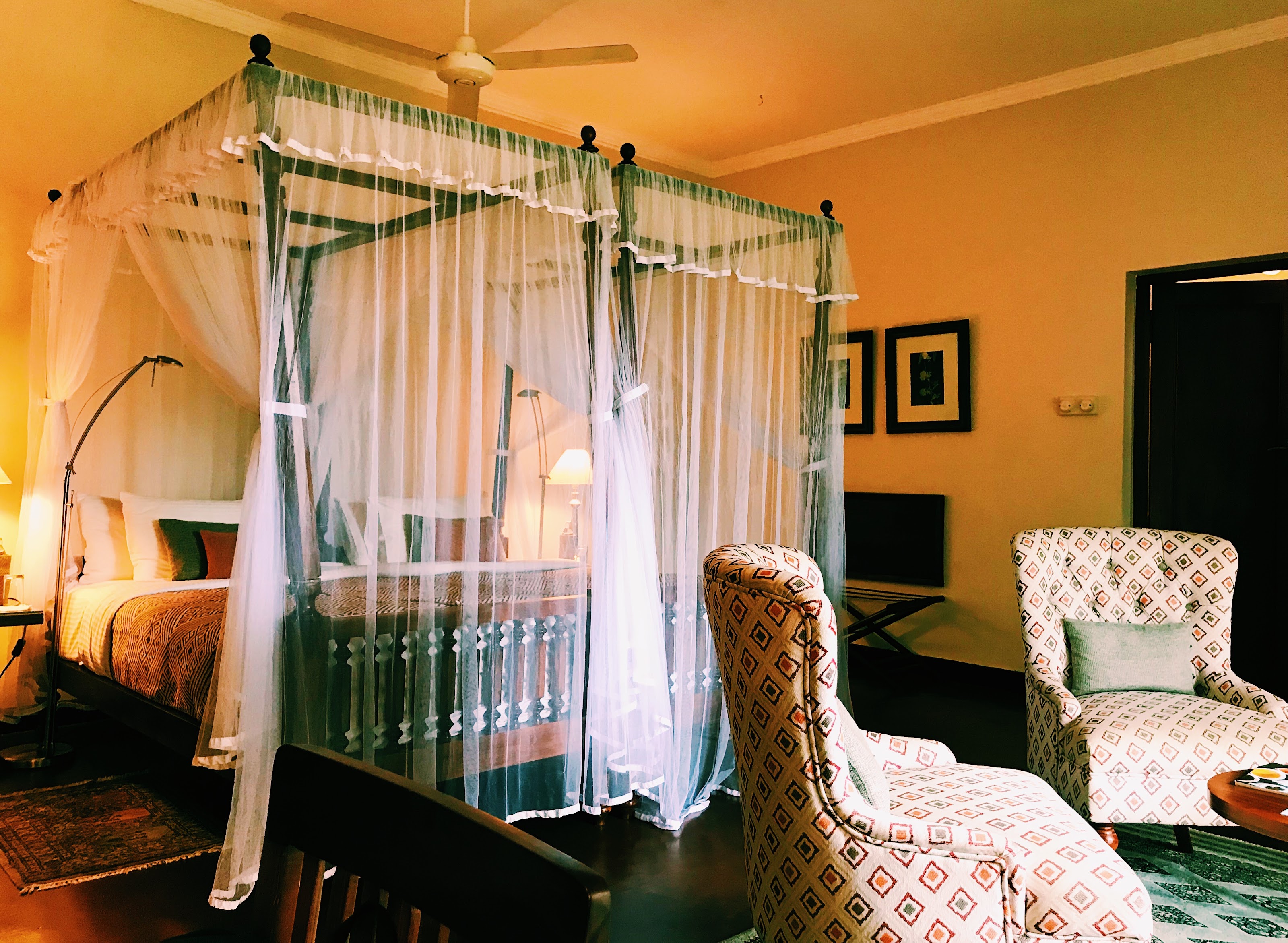 Ceylon Tea Trails 2