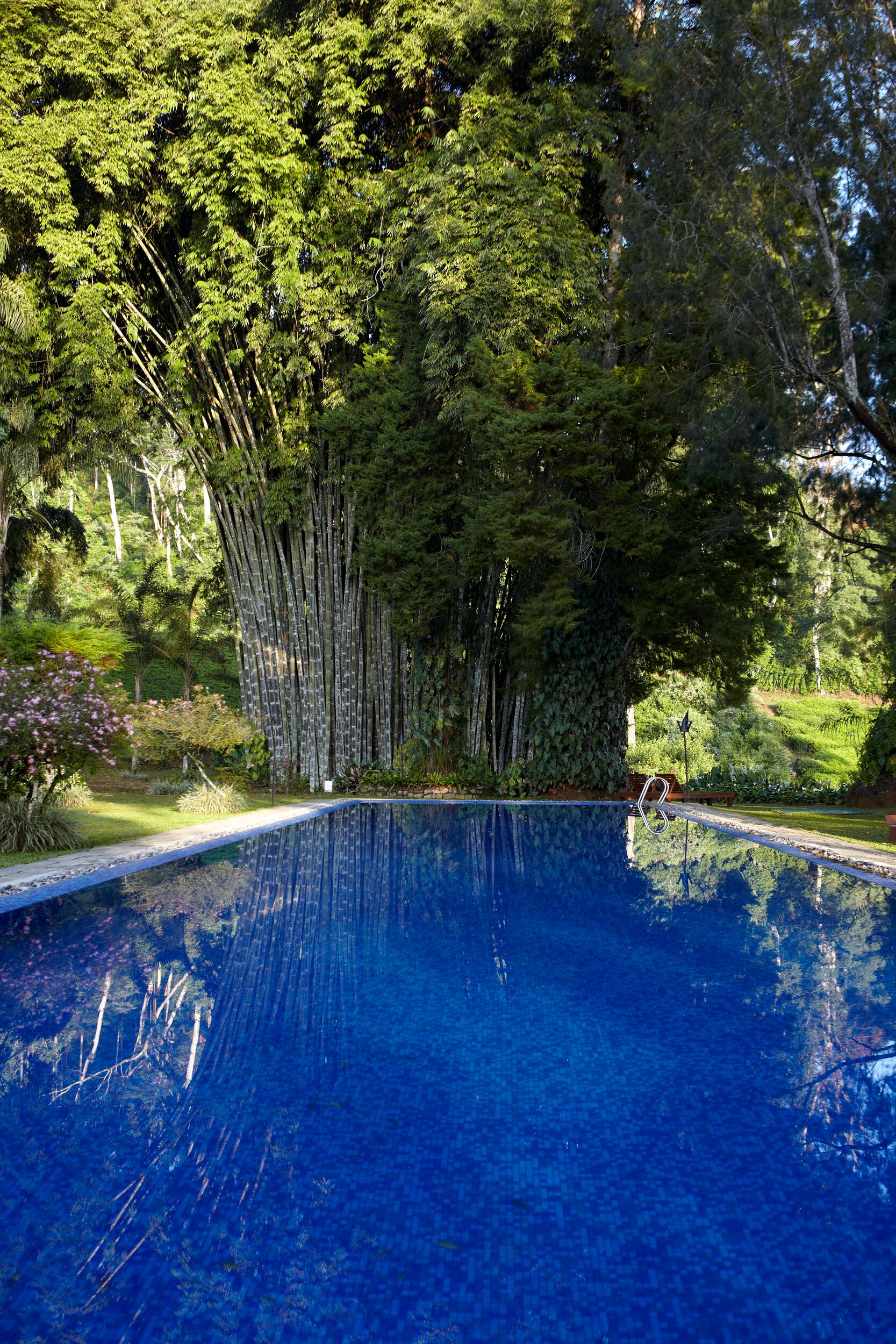 Ceylon Tea Trails 3