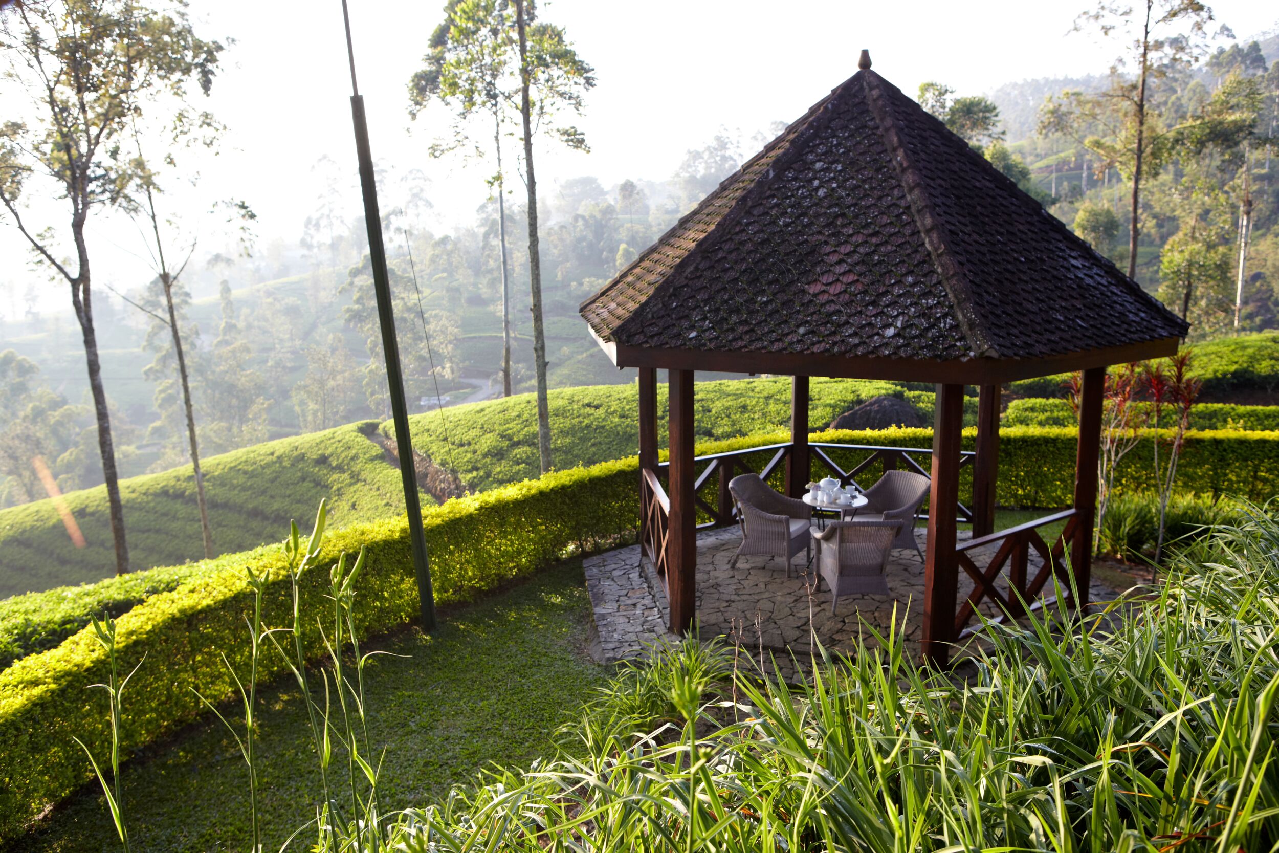 Ceylon Tea Trails 4