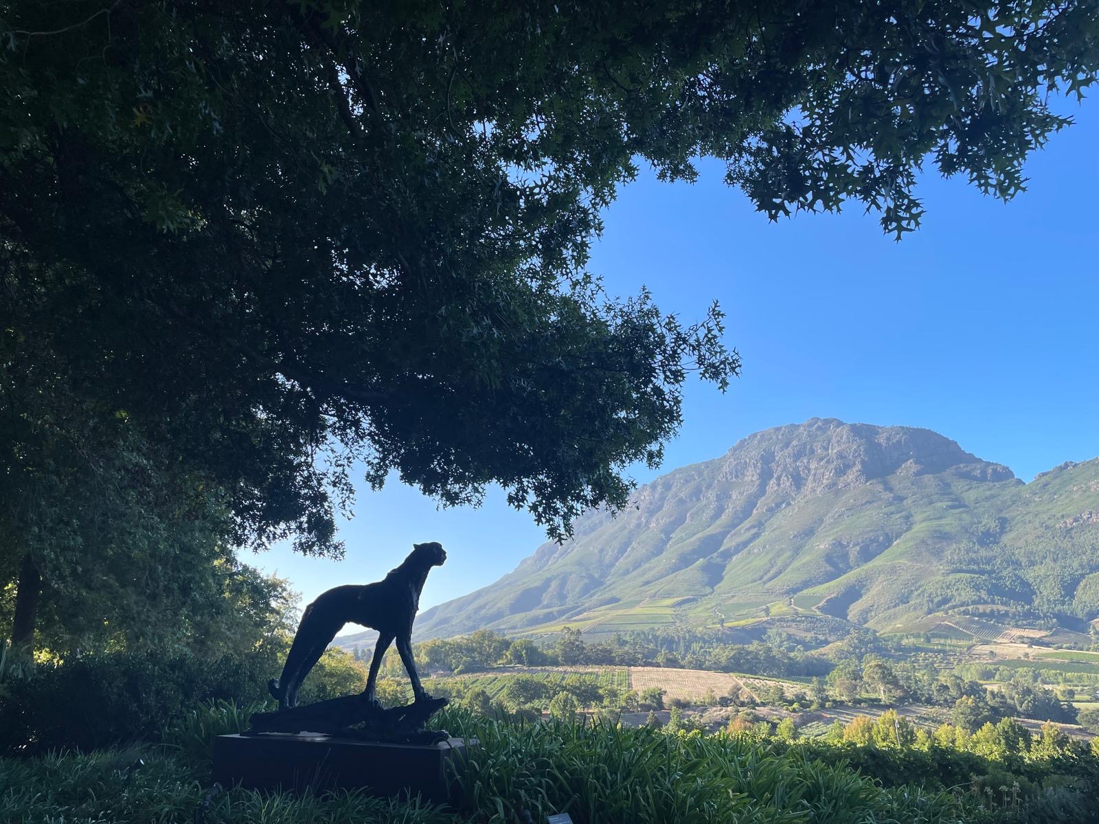 Delaire Graff Estate 4