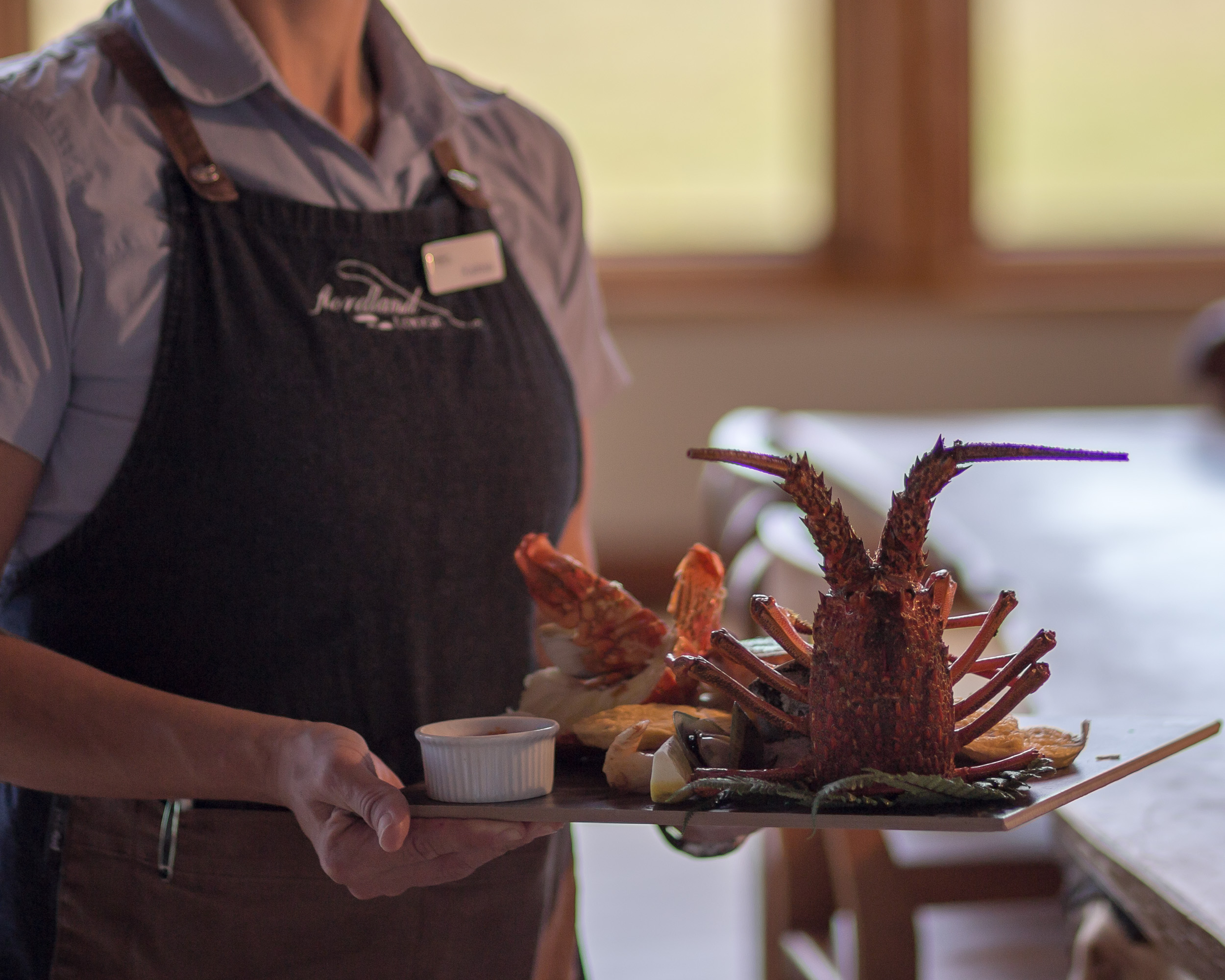 Fiordland Lodge 6