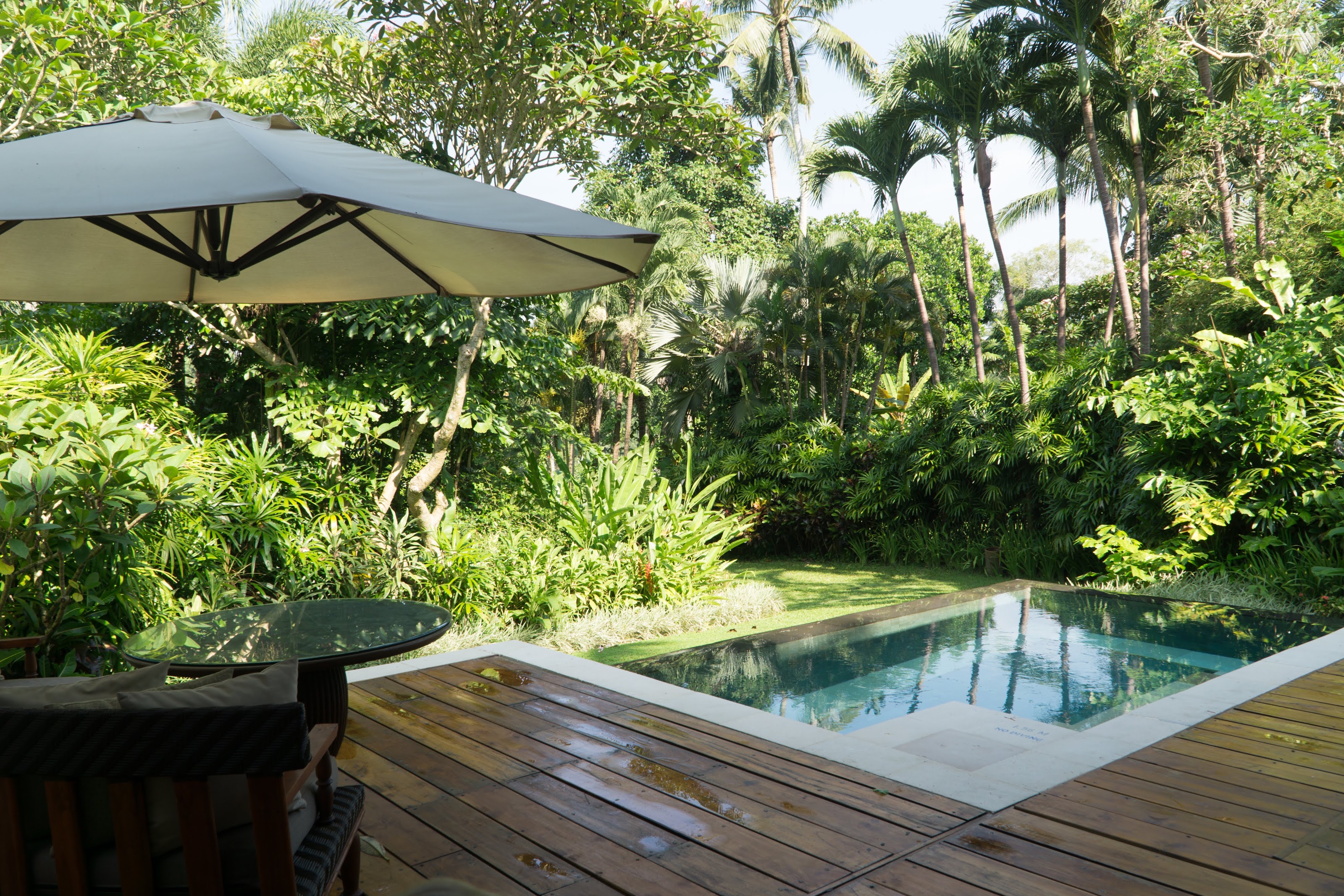 Four Seasons Sayan 5