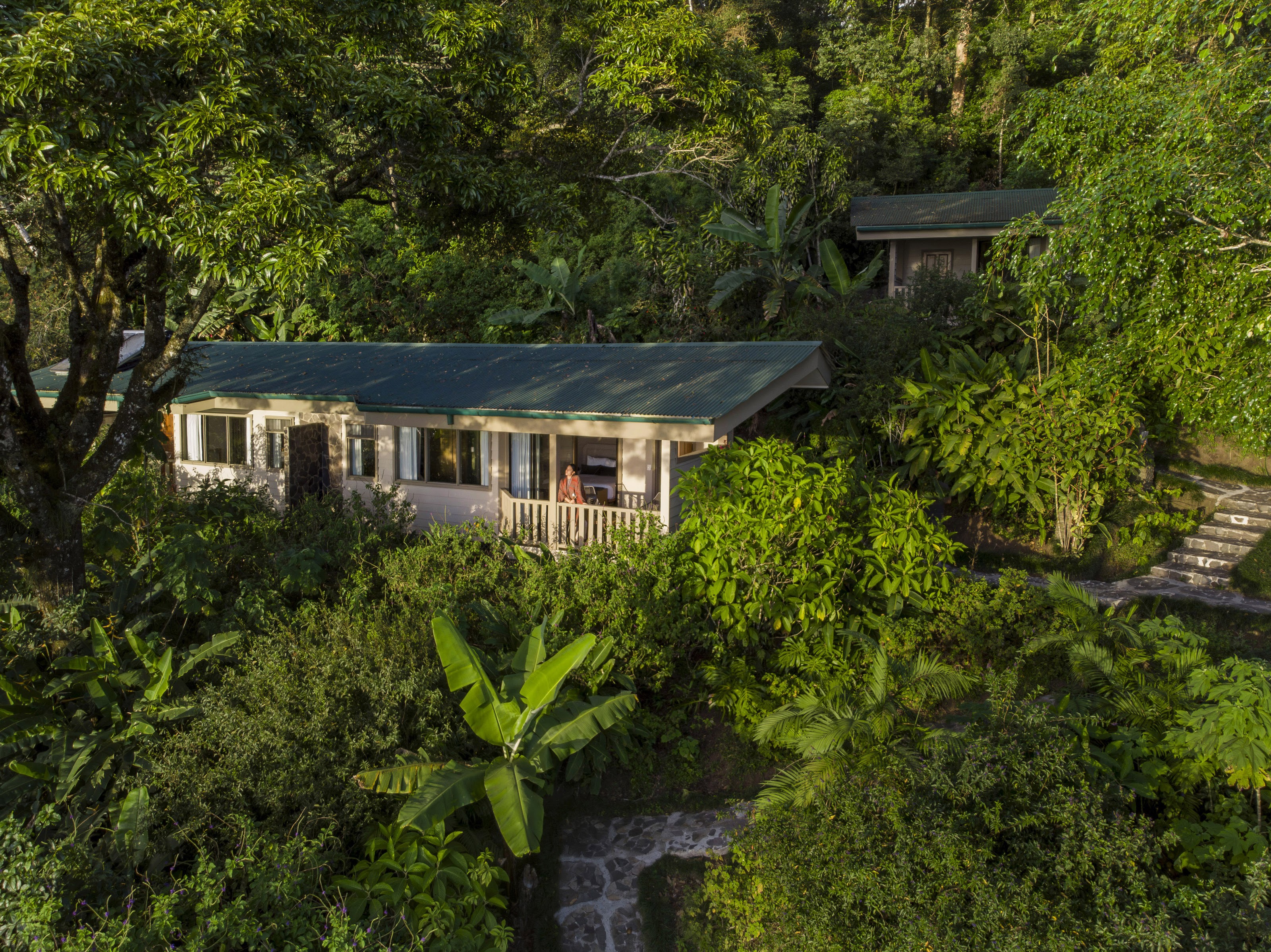 Senda Monteverde